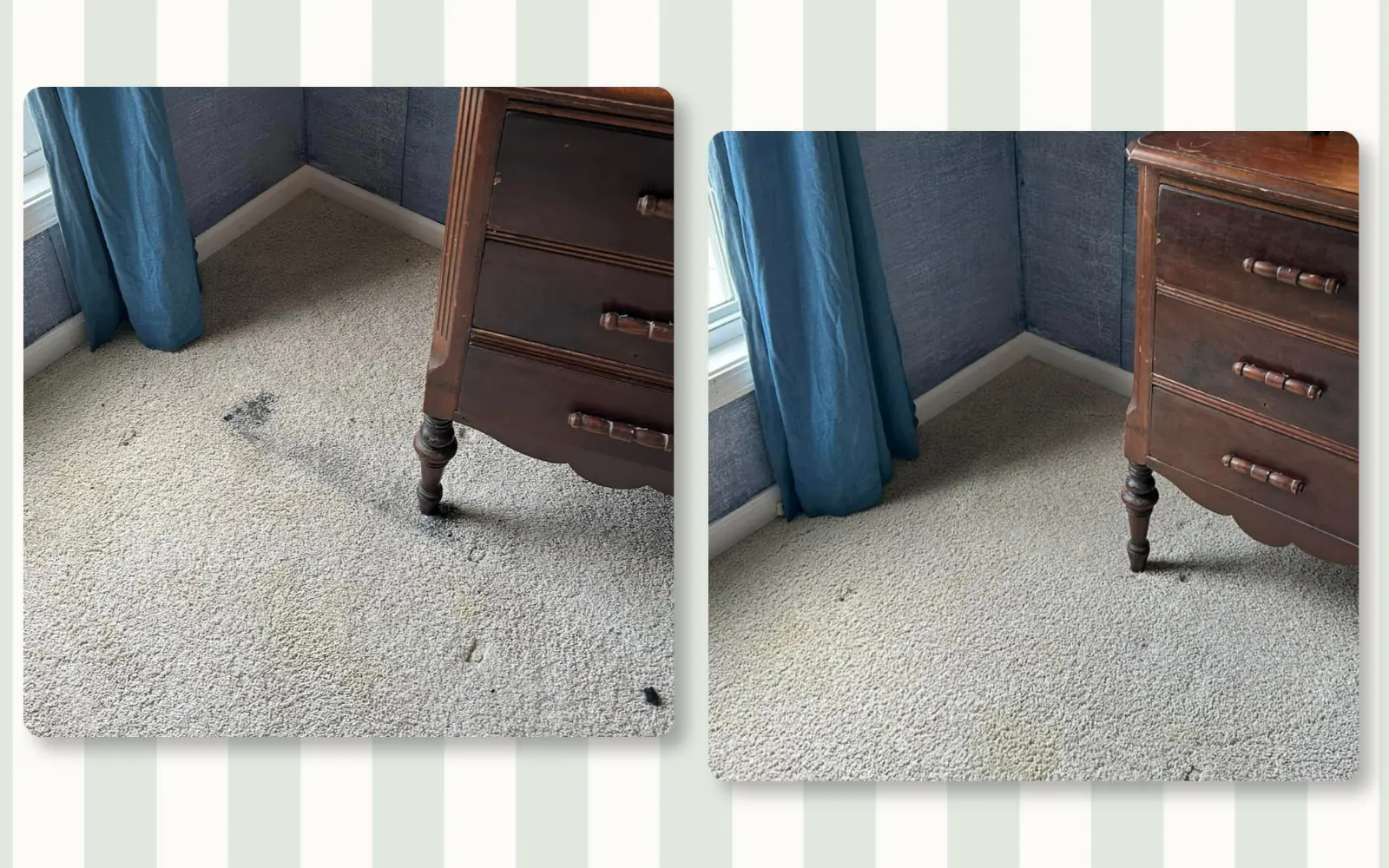 Residential carpet stain cleaning before and after by Tidy KC