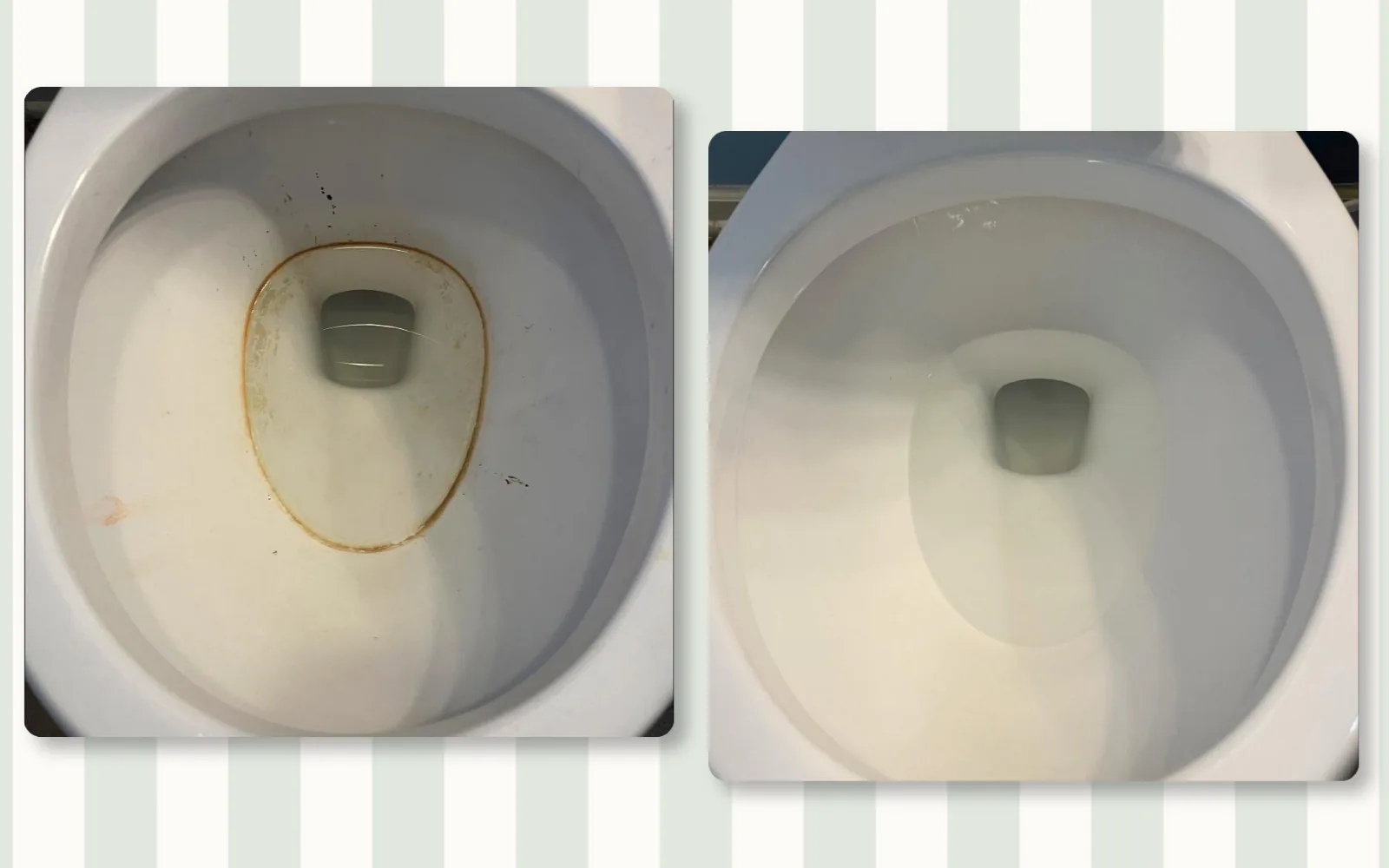 Toilet cleaning before and after by Tidy KC
